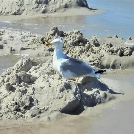 Mit Balkon-nur 500 Meter Zum Strand, Cleaning Included Апартаменты